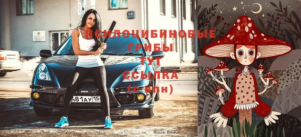 первитин Абинск