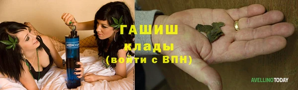 сатива Абаза
