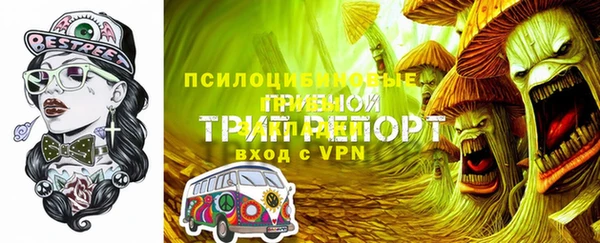 первитин Абинск