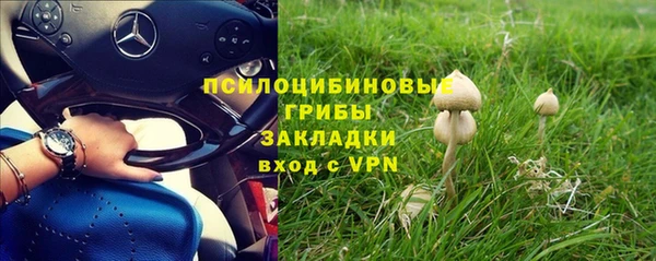 сатива Абаза