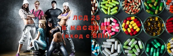 сатива Абаза