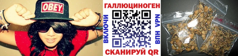 omg рабочий сайт магазин продажи Алапаевск Галлюциногенные грибы ЛСД