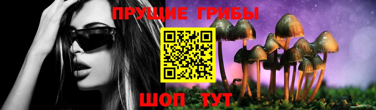 Псилоцибиновые грибы Psilocybine cubensis Алапаевск
